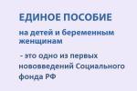 С 1 января 2023 года в России начнет работу Социальный фонд, который объединит Пенсионный фонд и Фонд социального страхования