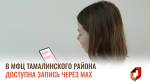 В МФЦ Тамалинского района доступна запись через МАХ