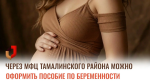 Через МФЦ Тамалинского района можно оформить пособие по беременности.