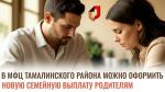 В МАУ "МФЦ Тамалинского района» можно оформить новую семейную выплату родителям